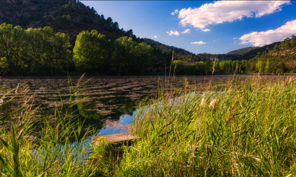 Captura de pantalla 2025-04-29 095739